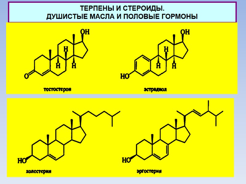 ТЕРПЕНЫ И СТЕРОИДЫ.  ДУШИСТЫЕ МАСЛА И ПОЛОВЫЕ ГОРМОНЫ